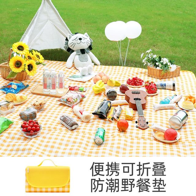 Picnic mat mat moisture-proof mat thickened outdoor camping ອຸປະກອນ picnic waterproof portable spring outing outing foldable picnic cloth