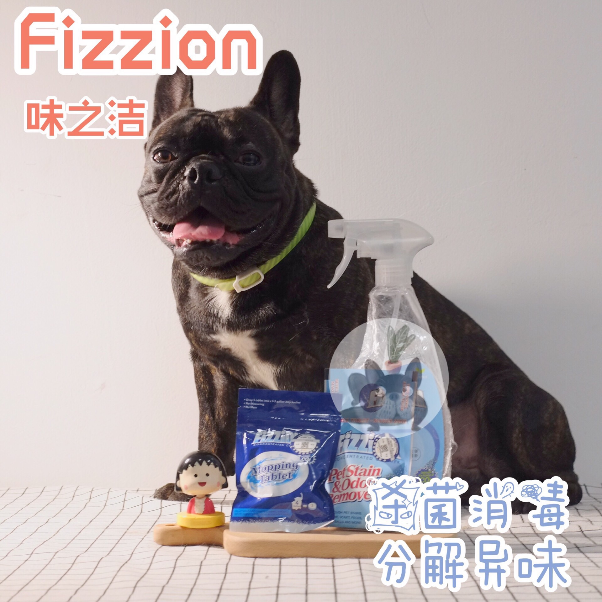 Fizzion Taste's Urine Bully Decontamination and Deodorant Pet Cat Dog Fou for Urine And Smell Foaming Ingots