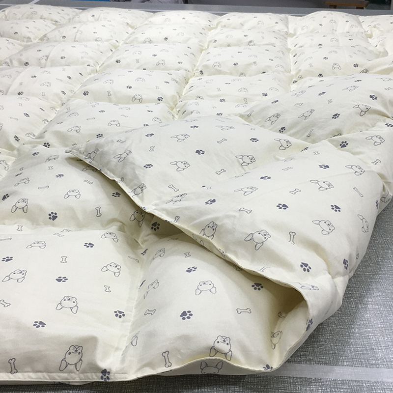 Plume double layer fabric duvet quilted by pure cotton quilted 95 white goose down quilt Spring autummy winter single warm quilt core