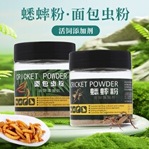 Cricket powder mealworm powder insect powder reptile powder added eyelash-horned gecko lizard carnivorous reptile nutritional additives