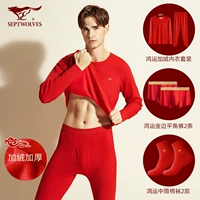 Утепленный комплект, трусы