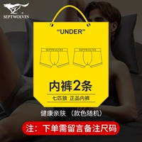 Septwolves, нижнее белье, стиль, цвет