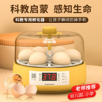 Childrens smart egg incubator mini small household fully automatic incubator case chick parrot bird duck egg incubator