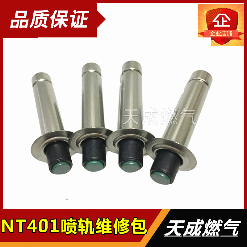 OMVL phun van sửa chữa bộ dụng cụ sửa chữa NT401 hệ thống CNG xe hơi khí tự nhiên phun đường sắt gói bảo trì đặc biệt - Sửa đổi ô tô cọ vệ sinh ô tô