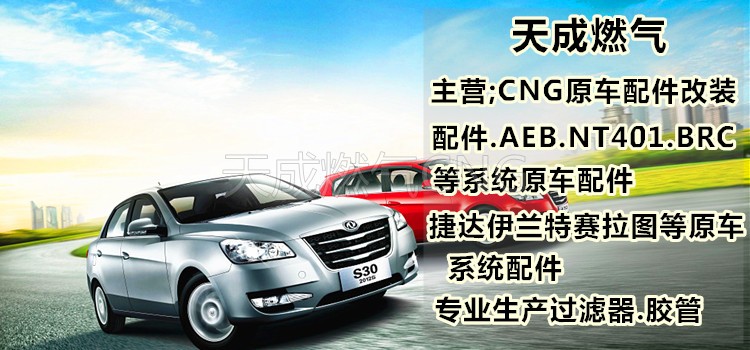 OMVL giảm áp ô tô tự nhiên khí cng giảm áp 401 đường ray phun R03 giảm áp cao su vòng đệm phụ kiện vòng - Sửa đổi ô tô chổi cọ rửa xe ô tô