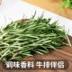 Fresh Rosemary 250g, Invigorating Spice, Western Cuisine Seasoning, Edible Herb