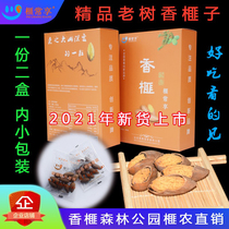 Torreya Zhuji Fengqiao Special Products 2021 New Goods Small Packaging Bulk Weighing Forest Park Old Tree Torreya