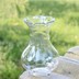 Hoa thủy canh, bình thủy canh, củ lục bình, chai màu xanh lá cây, chai nước, thủy tinh hạng nhất - Vase / Bồn hoa & Kệ chậu gỗ trồng lan Vase / Bồn hoa & Kệ