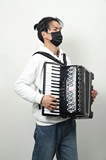 Аккордеон, рюкзак, подтяжки, комфортные музыкальные инструменты, увеличенная толщина