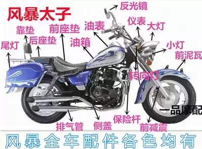 Qianjiang locomotive accessories Storm Prince full car parts 150-3A-3B side cover Living room lamp front and rear tile cover lock seat bag