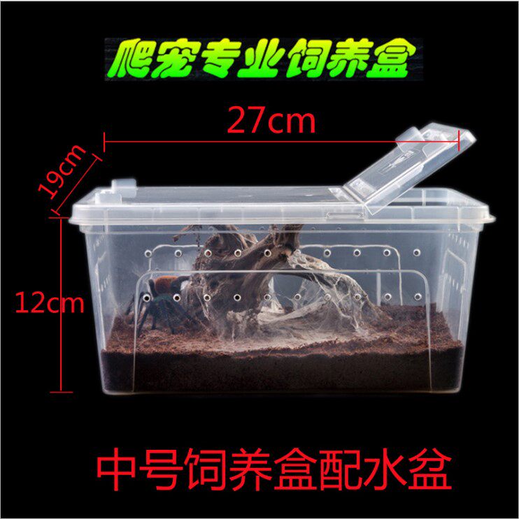 Pet breeding box spider breeding box turtle tank water turtle reptile scorpion gecko snake lizard horned frog special