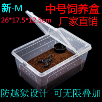 Large pet spider feeding box reptile feeding box Shougong snake lizard scorpion turtle horned frog reptile feeding box
