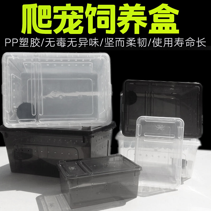 Pet Rearing Cartridges Air Vents Reptile Suitcases Spider Scorpion Patron Lizard Lizard Corner Frog Turtle Rearing Box