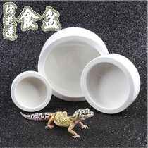 Anti-escape food basin Japanese reptile guard lizard spider live feed barley bread anti-escape bubble Basin