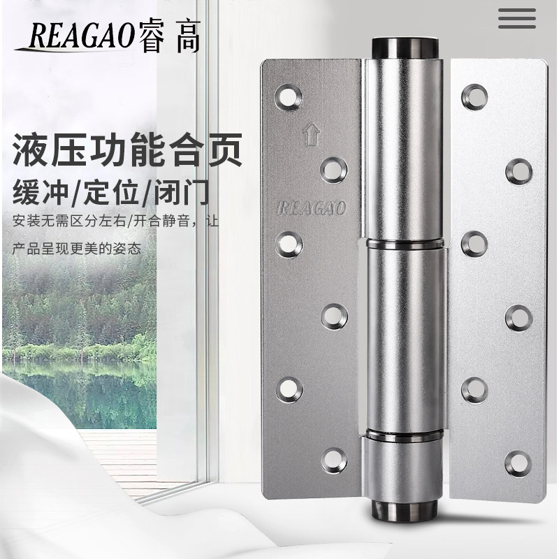 Rui Gao Invisible door hinge automatic closing Hydraulic hinge buffer door closer concealed background wall dark door hinge