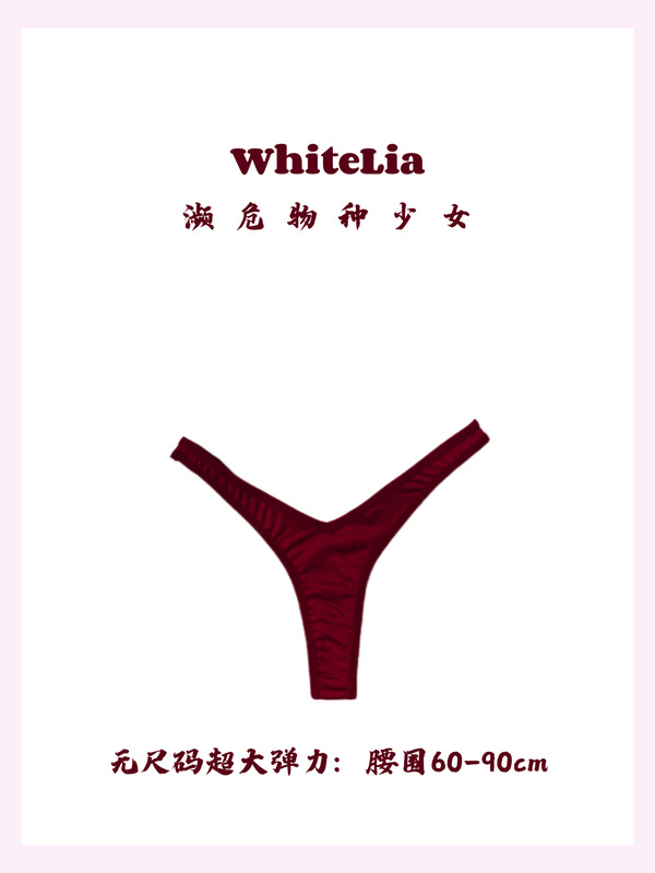 Show Off Your Slim Waist! Whitelia Retro Mercerized High V-Waist Pure Cotton Crotch Sexy Thong T-Pants Bikini Underwear for Women