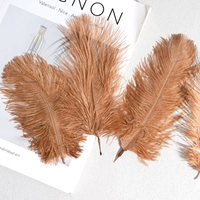 Красный кофе 15-20 верблюжьи птицы 10