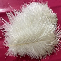 Белый, 10-15см