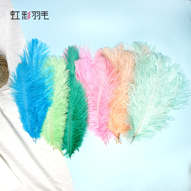 diy catching dreamnet material wedding decoration hand holding floral indian head decoration pawn with dreamnet macaragoncolor ostrich hair