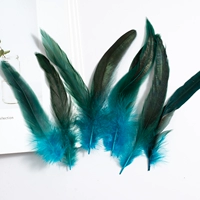 50 Озеро синее пурпурное плавание