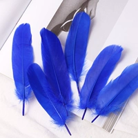 50 Королевские голубые волосы моллюсков 50 корней