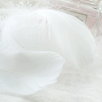 Кремовый, белый