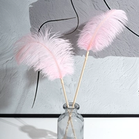 Легкий порошок 15-20 верблюжьи птицы 10