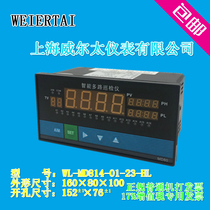 Shanghai Weitai instrument WL Series Multi-Function 8-way 16-way inspection instrument with 485 communication intelligent temperature controller