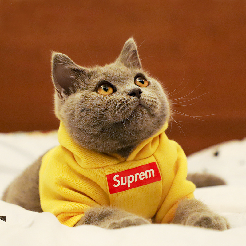 Pet clothes cat vests Tide brand SUP spring and autumn thin velvet teddy female fight puppies small dog dog clothes