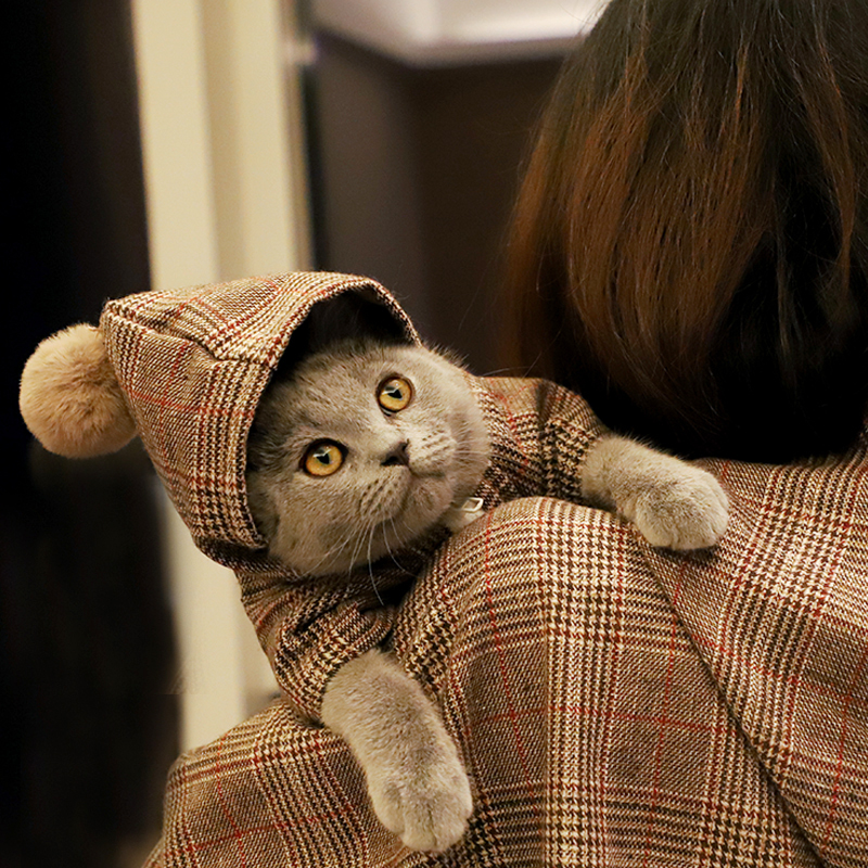 Pet clothes dog cat clothes autumn and winter thick breathable hooded zipper English short blue cat Teddy small dog