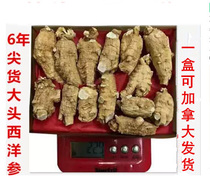 Canadas Ontario Provincial Farm Citi American American AAA Grade Short Coarse Bulk 6 Years Boutique Bubble for a box of International Post