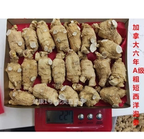 Canadas Ontario Provincial Farm Citi American Ginseng A Short Coarse Head Pint 6 Years Soak In the Intense 227 gr Straight Mail