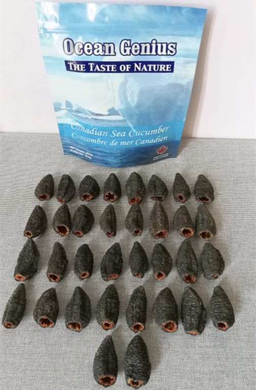 Canadian Arctic oceangenius3A grade 32 head sea cucumber boutiers with gluten pure dry wild ginseng age 6 years gold standard
