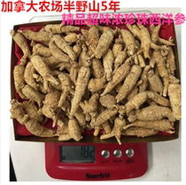 Canadian semi-wild jubilee American ginseng 5 years of fine pearl small bubble ginseng 180 grams