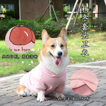 Pet clothing autumn and winter new cherry small and medium-sized dogs