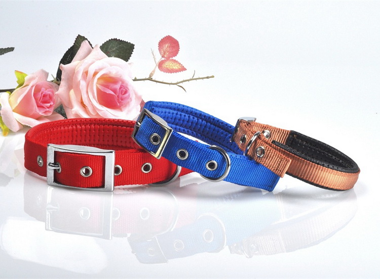 Pet Collar Dog Collar Pet Foam Collar Dog Collar Dog Collar Foam Collar Foam Neck Strap