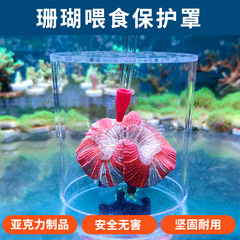 Acrylic coral feeding bed bag Breeding bed bag Feeding brain-like artillery Frisbee Anti-fish and shrimp snatch