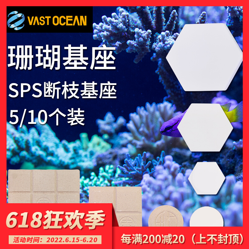 Boutique Hexagonal Square Coral Breaking base button Flat Bottom Base Base Propagation Round Broken Support