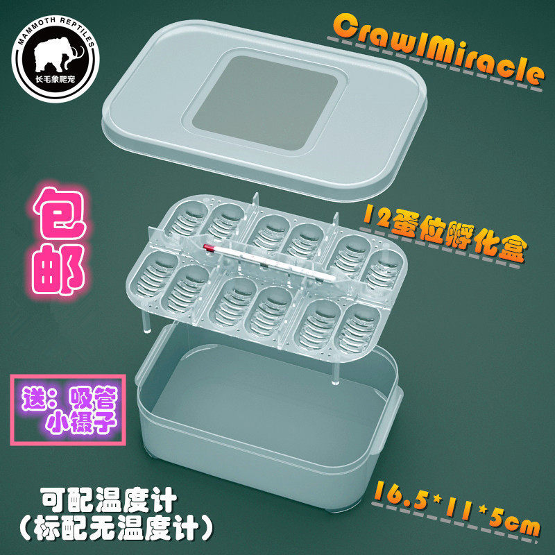 CM reptile guarding the palace lizard pet snake tortoise turtle crawling pet hatching egg consignment box reptile hatching egg incubator