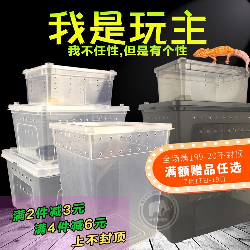 Reptile feeding box Transparent plastic tank Spider palace hermit crab Silkworm squarepants scorpion horned frog insect scum box A4