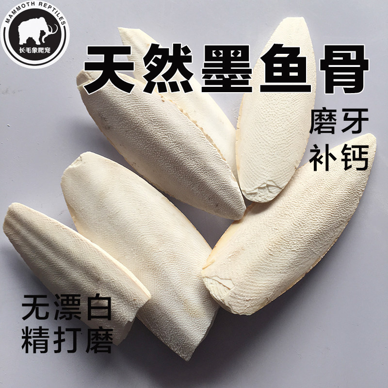 Natural Replenishing Calcium Delicately Polished Ink Fish Bones Land Tortoise Reptile Reptile Bird Reptile Hedgehog Tonic for Calcium Grinding of Tooth Squid Bone