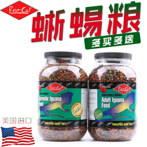 美国进口REPCAL鬣鬃狮蜥蜴粮水果味IG绿蜥蜴饲料成体幼体粮