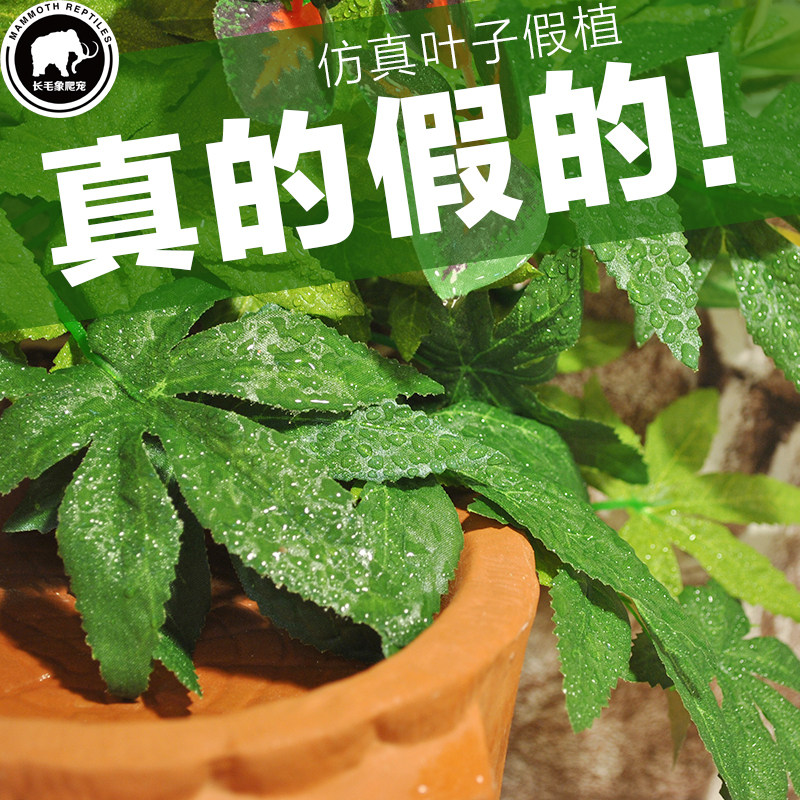 Climbing Box Lizard Box Reptile Rearing Box Chameleon Chameleon High Box Build-Up Decoration Tree Vines Vine-Emulated Plant Leaves