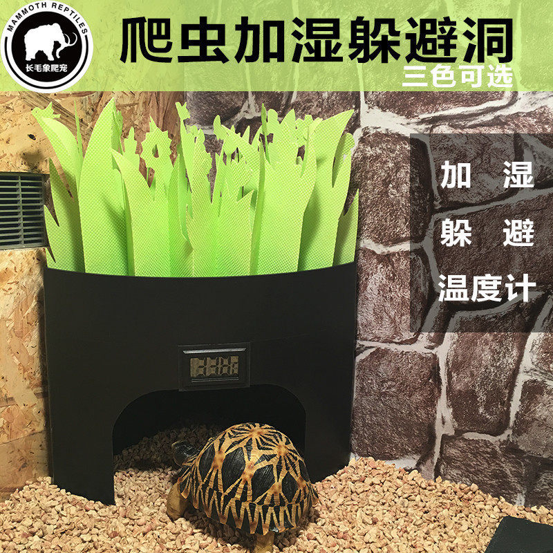CM Land tortoise lizard Lizard Python python Python Sector can be humidifed with wet reptiles to avoid caves climbing and caves.