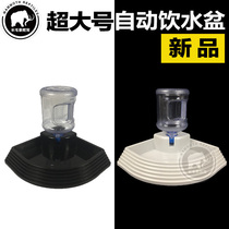 CM New Pint Oversize Tortoise Lizard Lizard Climbing for automatic Drinking Water Drinking Water Drinking Basin Drinking Basin