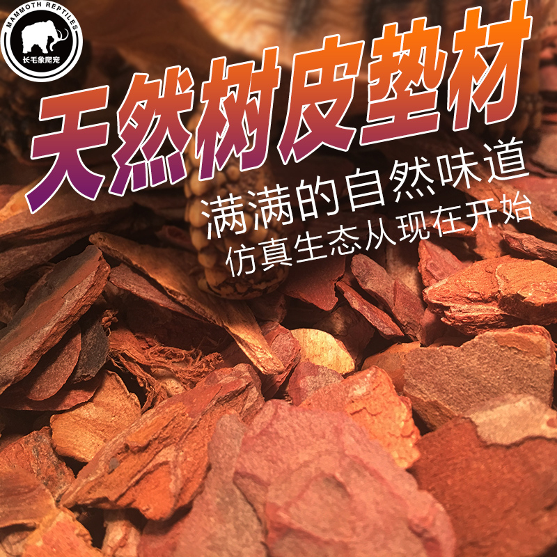 Pine Bark Particles, Reptile and Tortoise Forest Surface Bark Bedding Material, Lizard, Snake, Python, Gecko Terrarium Landscaping Substrate