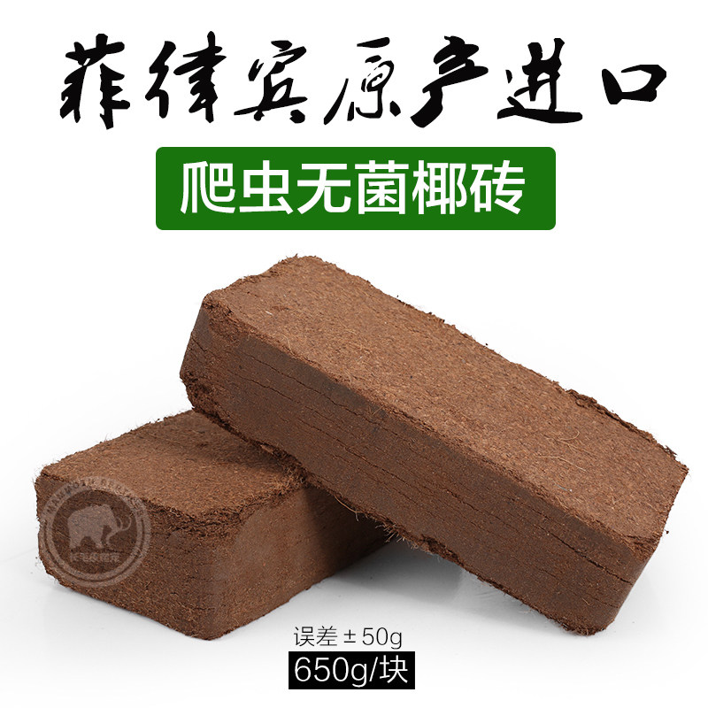 Reptile Land tortoise Half water tortoise Lizard Lizard Scorpion Spider Horn Frog Moisturizing Coconut Broccoli Coconut Broccoli