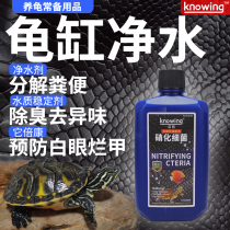 Activated Nitrifying Bacteria Fish Tank Turtle Water Turtle Brazilian Grass Turtle Yellowhead Razor Water Purification Sterilization Improves Water Quality