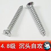  4.8级 沉头自攻.jpg2.jpg