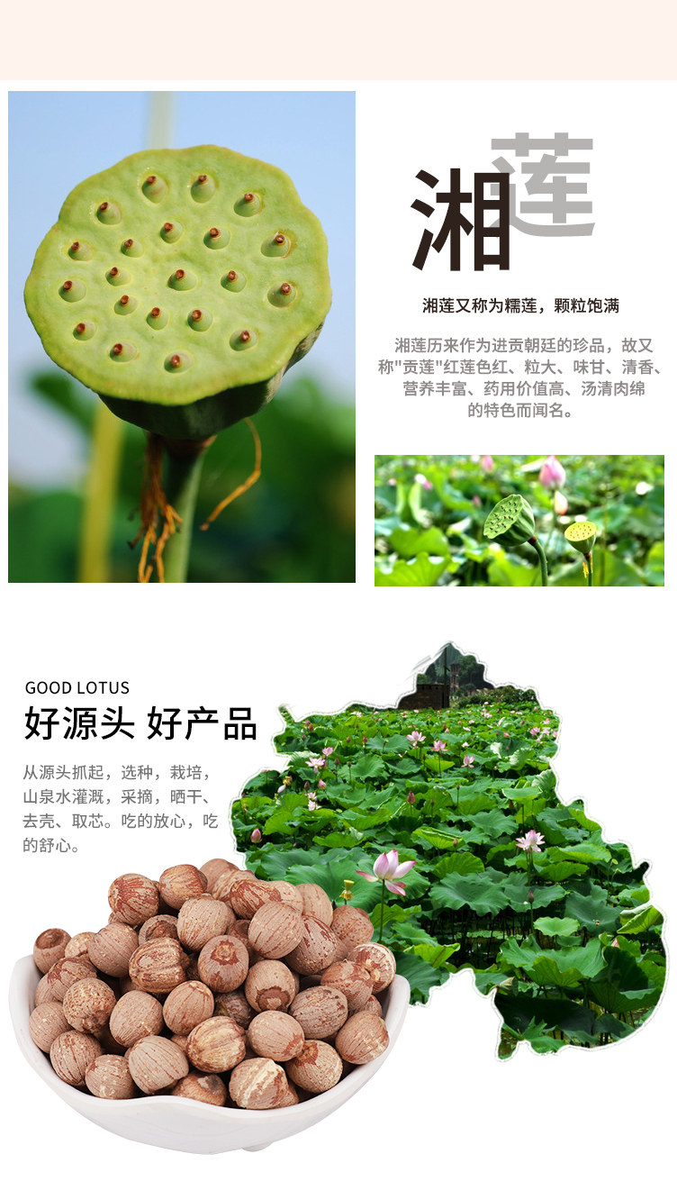 Red Lotus Details_03.jpg